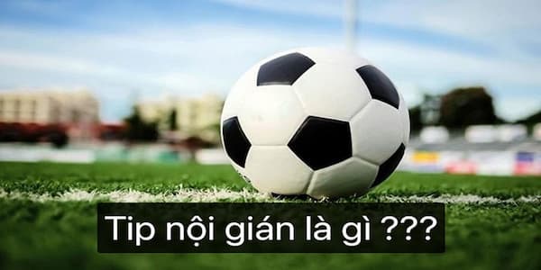 Tip nội gián là gì?