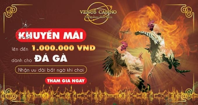 Venus Casino khuyến mãi siêu hấp dẫn