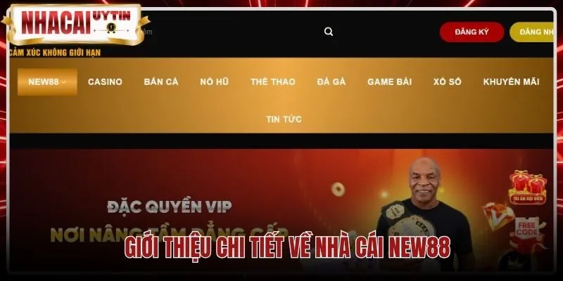 Giấy phép PAGCOR quốc tế cùng chứng nhận bảo mật New88