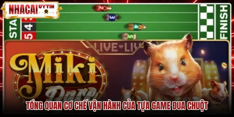 Tổng quan cơ chế vận hành của game Đua chuột Cơ chế thuật toán ngẫu nhiên trong game Đua chuột
